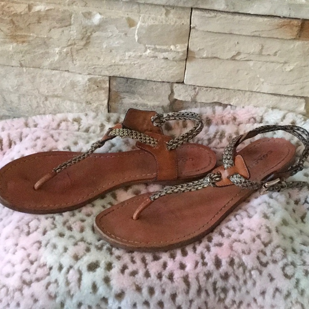 Snake Coach Sandals - Picture 3 of 6